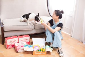Photo cleaning products pets