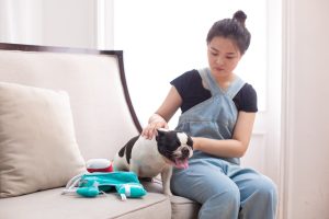 Photo pet care checklist