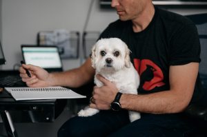 Photo pet vet visit