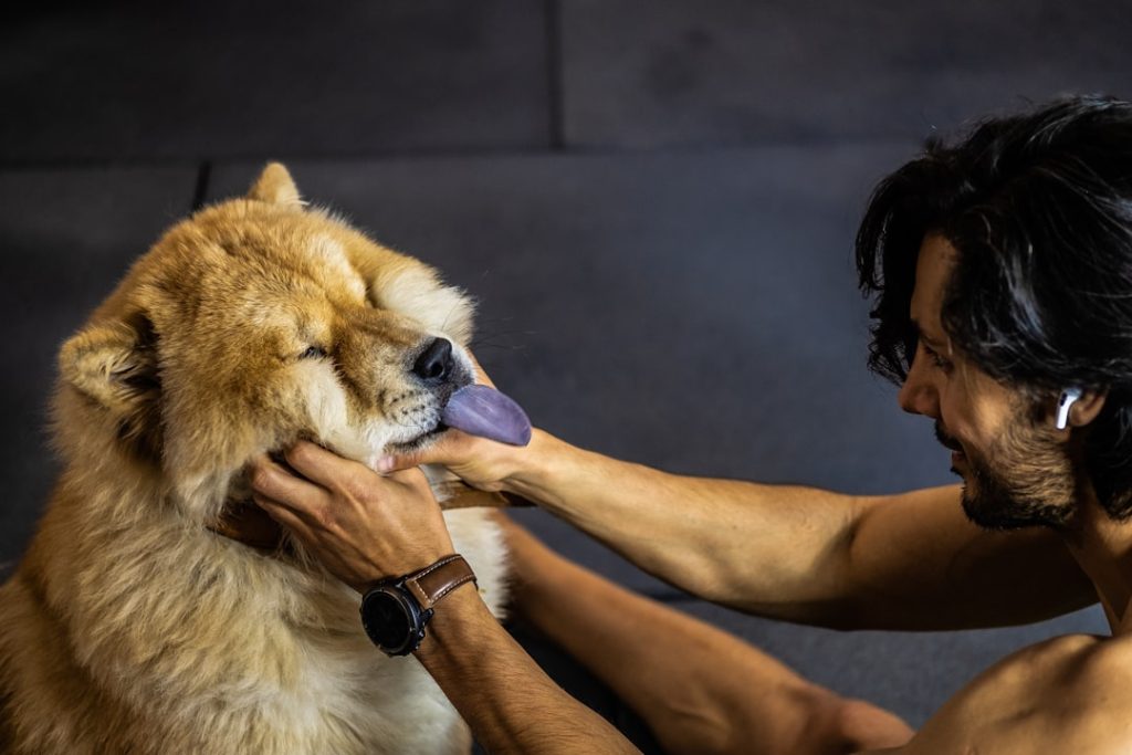 Photo preventive care dogs